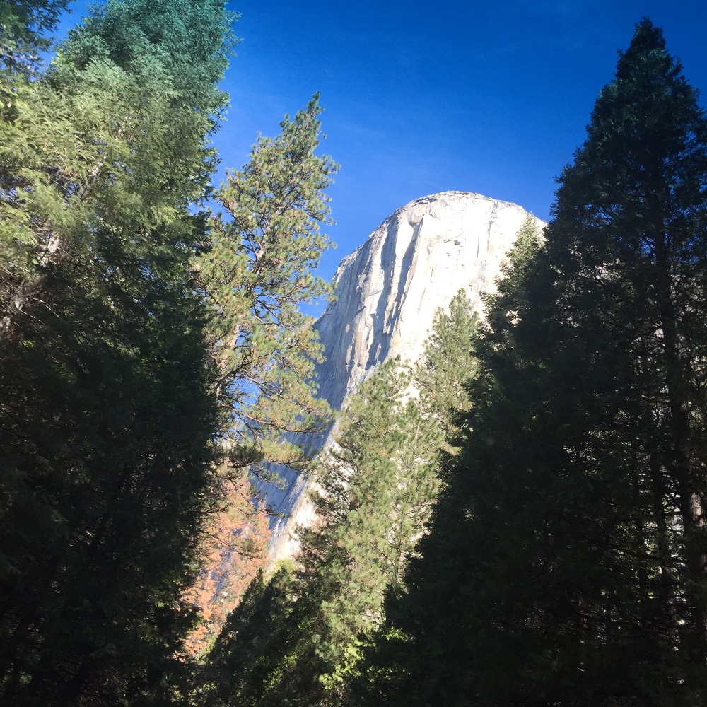 Meet your Posher, Sean